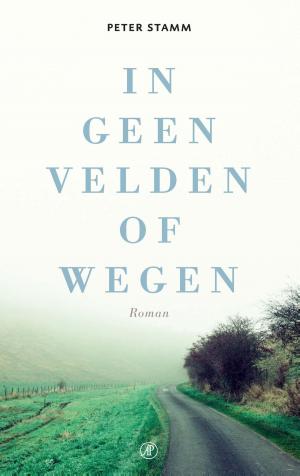 Cover of the book In geen velden of wegen by Håkan Nesser