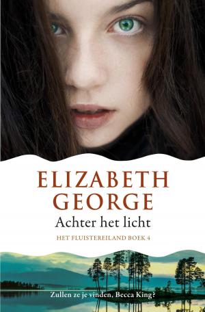 Cover of the book Achter het licht by Gerard de Villiers