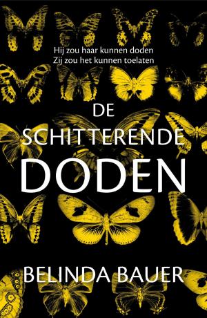 Cover of the book De schitterende doden by Jens Lapidus