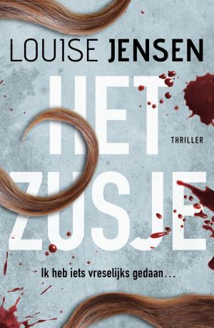 Cover of the book Het zusje by Ashlee Vance