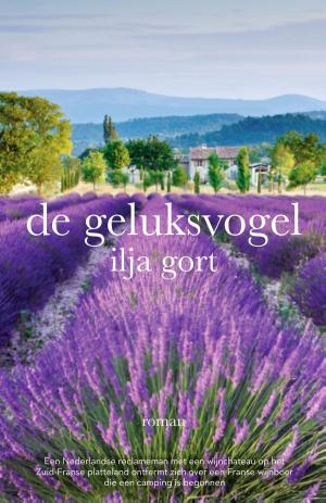 Cover of the book De geluksvogel by Rian Visser