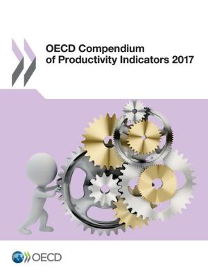 bigCover of the book OECD Compendium of Productivity Indicators 2017 by 