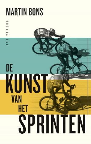 Book cover of De kunst van het sprinten