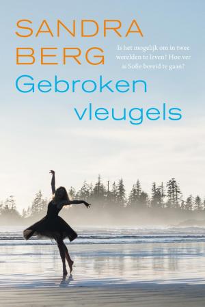 Cover of the book Gebroken vleugels by J. Bango