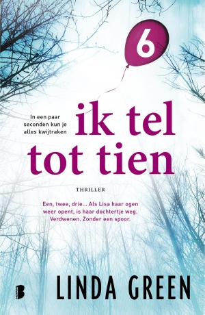 Cover of the book Ik tel tot tien - deel 6 by Daniel Silva
