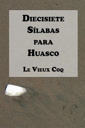 Book cover of Diecisiete Sílabas para Huasco