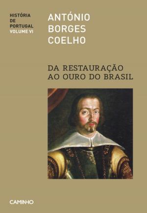 Cover of the book Da Restauração ao Ouro do Brasil - História de Portugal VI by Mia Couto