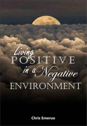 Cover of the book Living positive in a Negative Environment by Margaret Nutting-Ralph