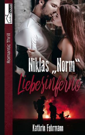 Cover of the book Niklas "Norm" - Liebesinferno by Antonia Günder-Freytag