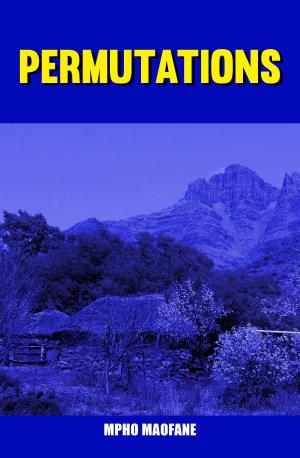 bigCover of the book Permutations by 