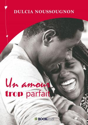 Cover of the book UN AMOUR TROP PARFAIT by Lionel Minkutu