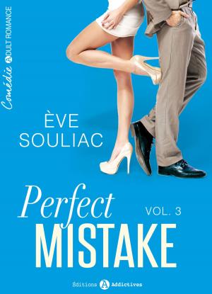Book cover of Perfect Mistake - 3
