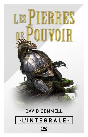 Cover of Les Pierres de pouvoir - L'Intégrale