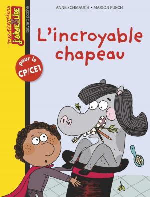 Cover of the book L'incroyable chapeau by Pascale Hédelin