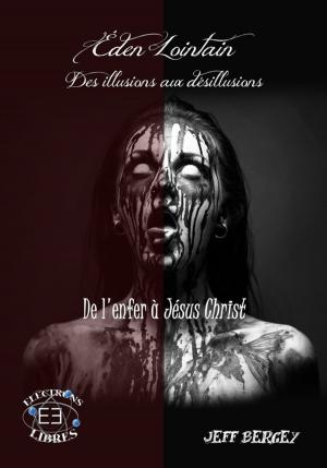 Cover of the book Des illusions aux désillusions by Lola T.
