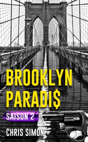 Cover of the book Brooklyn Paradis by Nathan Thompson