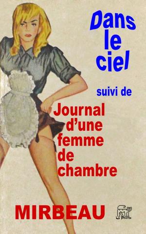 Cover of the book Dans le ciel, suivi de Le journal d'une femme de chambre by Chiara Talluto