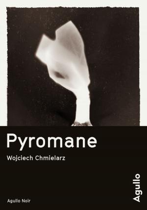 bigCover of the book Pyromane by 