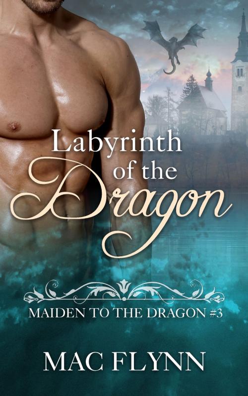 Cover of the book Labyrinth of the Dragon by Mac Flynn, Mac Publishing