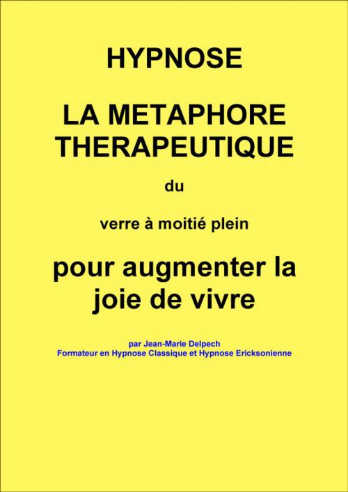 Cover of the book La métaphore du verre à moitié plein by Jean-Marie Delpech, Jean-Marie Delpech