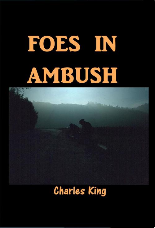 Cover of the book Foes in Ambush by Charles King, Green Bird Press