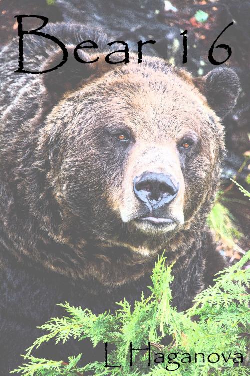 Cover of the book Bear 16 by L Haganova, L Haganova