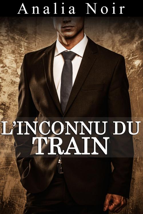 Cover of the book L'Inconnu du Train by Analia Noir, Analia Noir