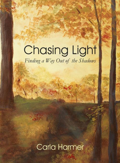 Cover of the book Chasing Light by Carla Harmer, Trimatrix Management Consulting
