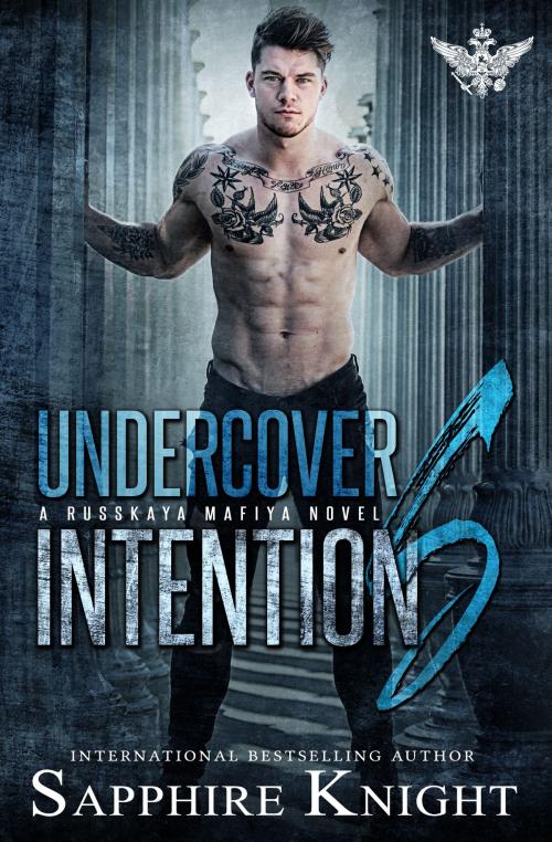 Cover of the book Undercover Intentions by Sapphire Knight, Sapphire Knight