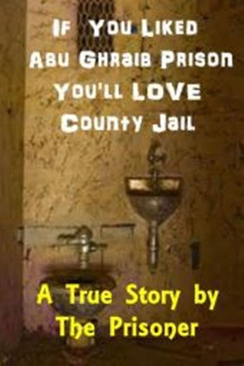 Cover of the book If You Liked Abu Ghraib Prison You'll Love County Jail by Ronald Simmons, Green Bird Press