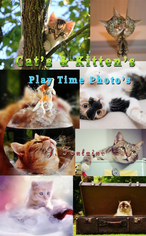 Cover of the book Cats & Kittens Play Time by Jamie Fontaine, J. Fontaine