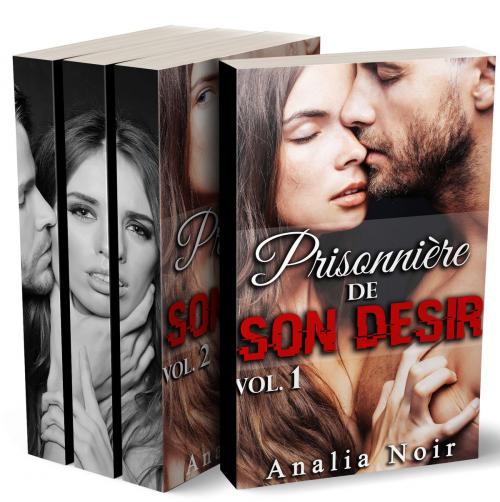 Cover of the book Prisonnière de Son Désir (L'INTEGRALE) by Analia Noir, Analia Noir