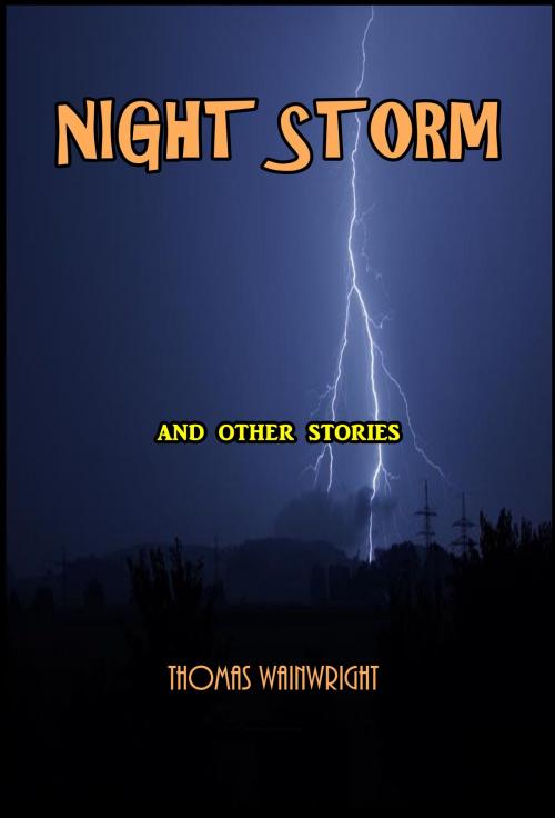 Cover of the book Night Storm by Thomas Wainwright, Green Bird Press