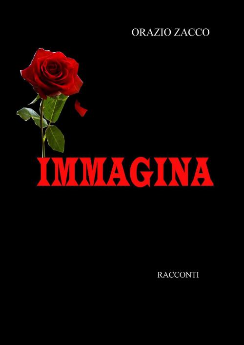 Cover of the book IMMAGINA by ORAZIO ZACCO, ORAZIO ZACCO