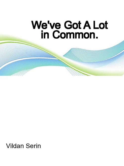 Cover of the book We've Got A Lot In Common by Vildan Serin, kbuuk