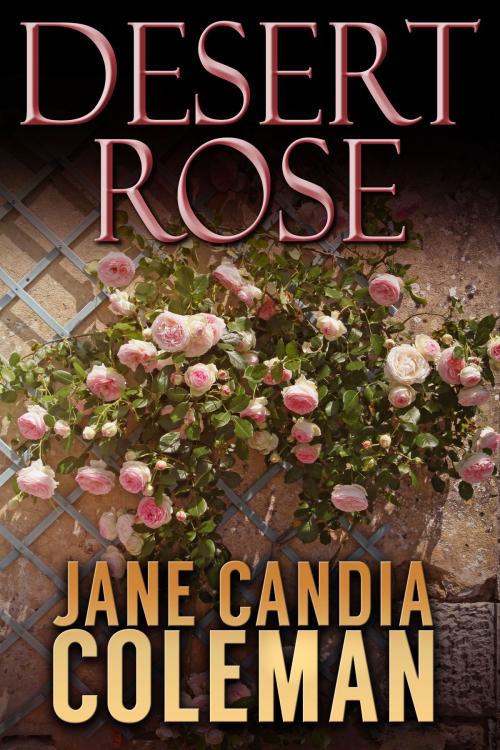 Cover of the book Desert Rose by Jane Candia Coleman, Crossroad Press