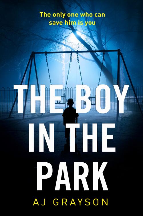 Cover of the book The Boy in the Park by A J Grayson, HarperCollins Publishers