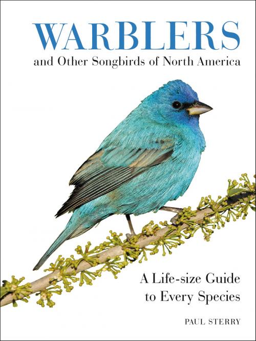 Cover of the book Warblers and Other Songbirds of North America by Paul Sterry, Harper Design