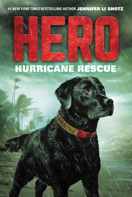Cover of the book Hero: Hurricane Rescue by Jennifer Li Shotz, HarperCollins