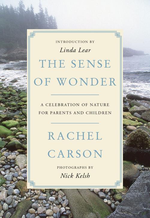 Cover of the book The Sense of Wonder by Rachel Carson, Harper Perennial