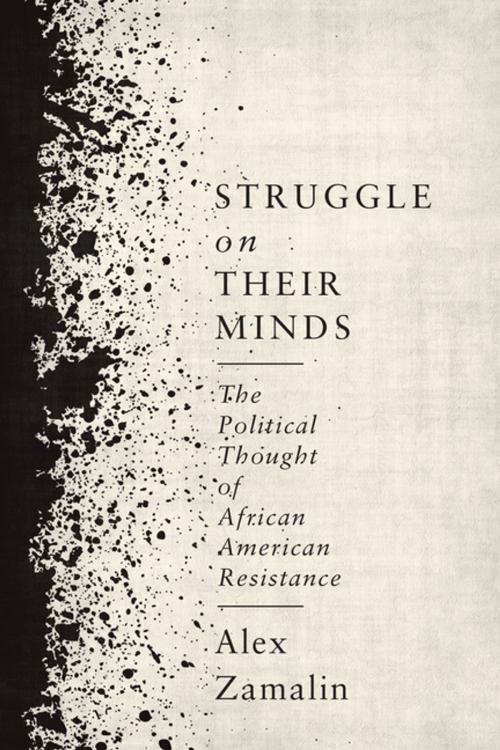Cover of the book Struggle on Their Minds by Alex Zamalin, Columbia University Press