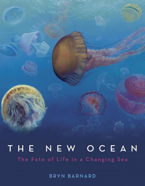 Cover of the book The New Ocean: The Fate of Life in a Changing Sea by Bryn Barnard, Random House Children's Books