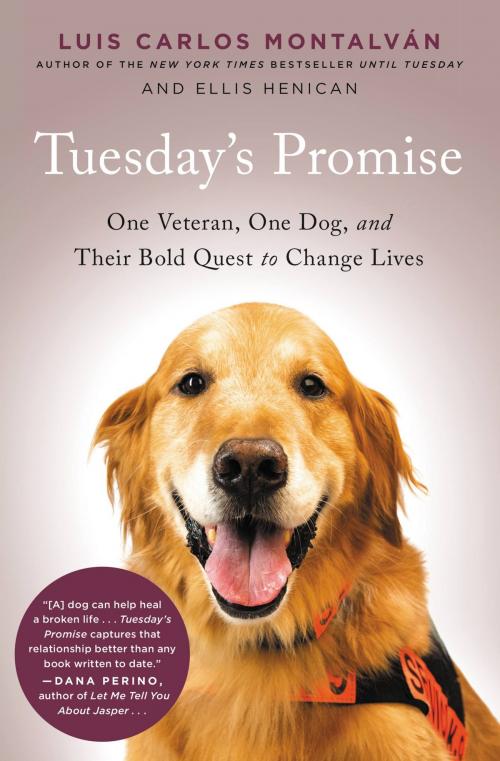 Cover of the book Tuesday's Promise by Luis Carlos Montalvan, Ellis Henican, Hachette Books