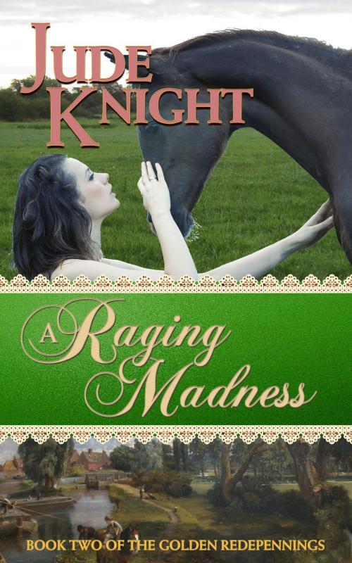Cover of the book A Raging Madness by Jude Knight, Jude Knight