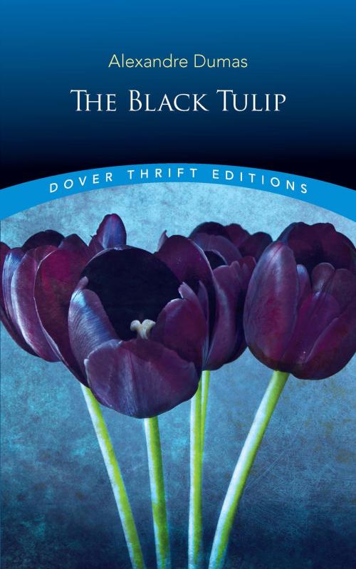 Cover of the book The Black Tulip by Alexandre Dumas, Dover Publications