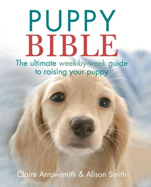Cover of the book The Puppy Bible by Claire Arrowsmith, Alison Smith, Octopus Books