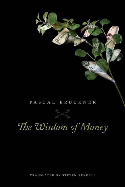 Cover of the book The Wisdom of Money by Pascal Bruckner, Harvard University Press