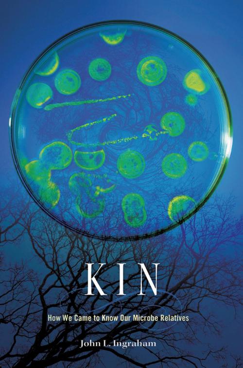 Cover of the book Kin by John L. Ingraham, Harvard University Press