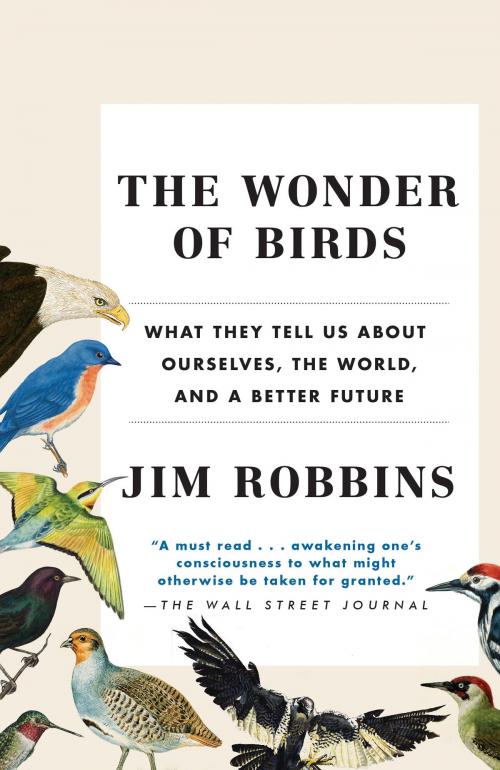 Cover of the book The Wonder of Birds by Jim Robbins, Random House Publishing Group