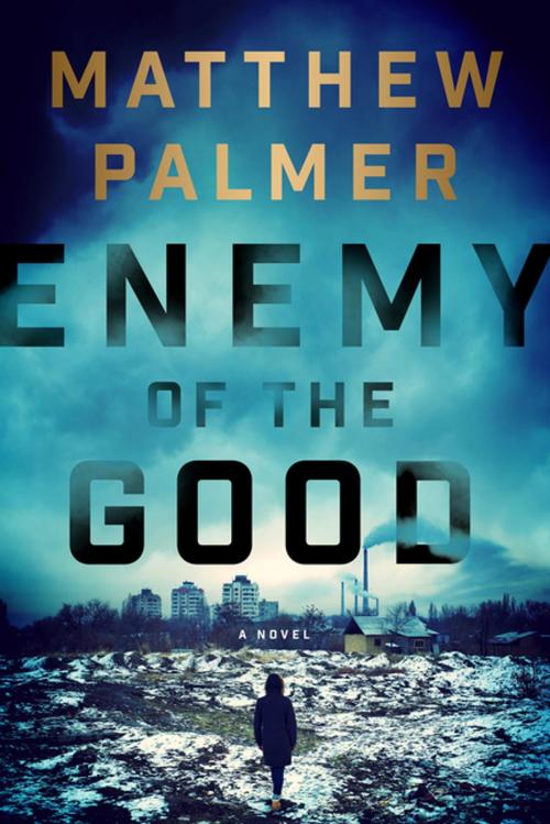 Cover of the book Enemy of the Good by Matthew Palmer, Penguin Publishing Group